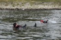 Uebung BF Taucher und Presse Koeln Zoobruecke Rhein P083